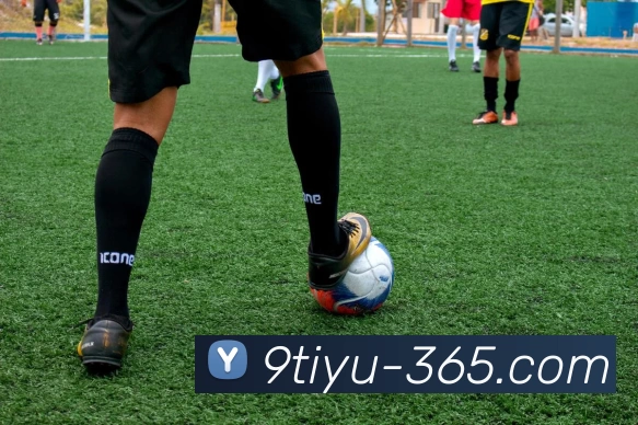 多媒体互动体验